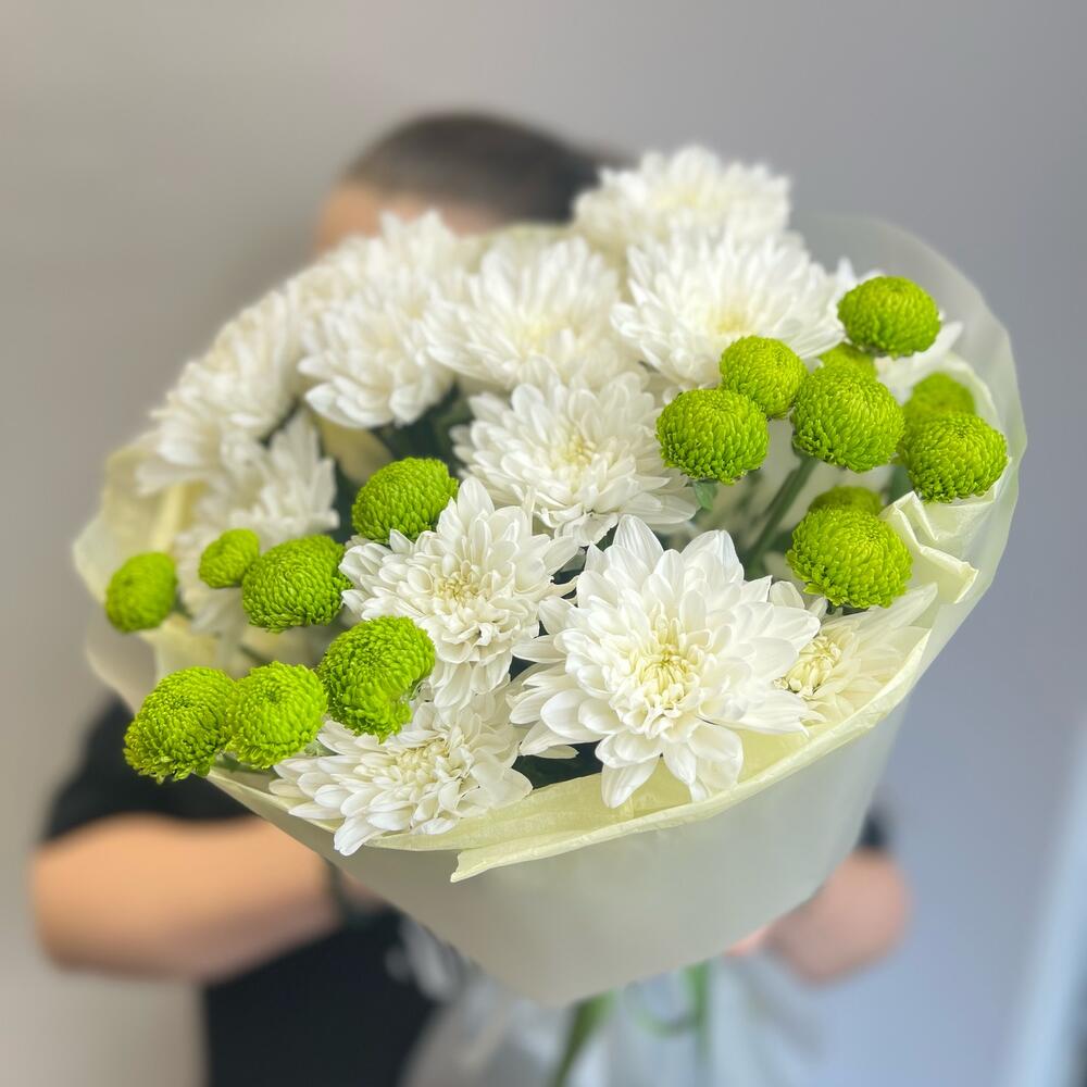 Эксклюзивный букет «Филин Грин» – сочетание белых и зеленых хризантем Тихвин Ленинградская область