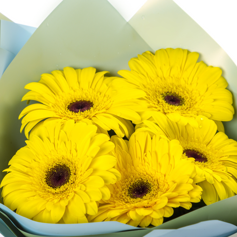 Яркий букет из 5 жёлтых гербер – как кусочек солнца в ваших руках Тихвин Ленинградская область