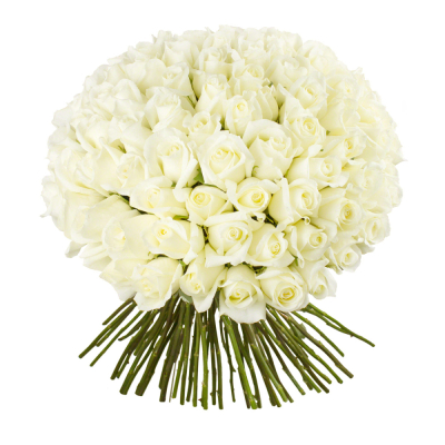 Роскошный букет из 101 белой розы – воплощение бесконечной любви Тихвин Ленинградская область