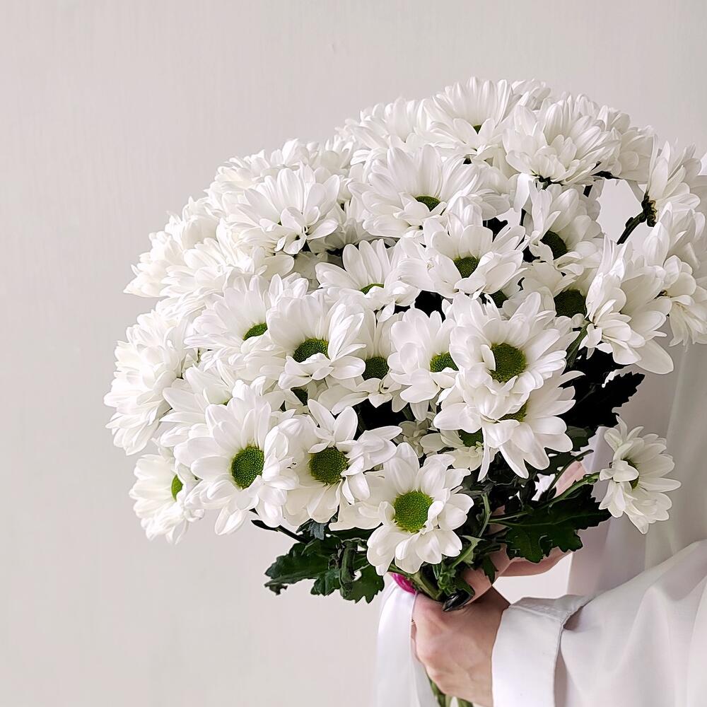 Букет «Ромашка» – 9 белоснежных хризантем в деревенском стиле Тихвин Ленинградская область