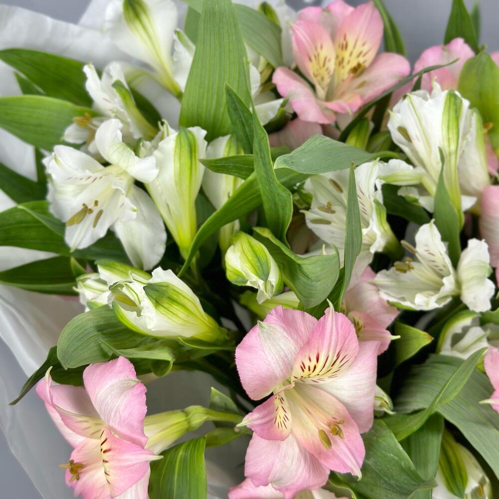 Букет «Нежность» – трогательное сочетание белых и розовых альстромерий Тихвин Ленинградская область