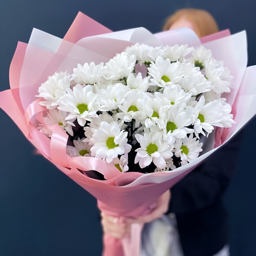 Букет «Розовое счастье» – нежность белых хризантем Тихвин Ленинградская область