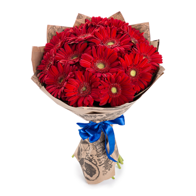 Яркий букет из 15 красных гербер – воплощение страсти и жизнерадостности Тихвин Ленинградская область