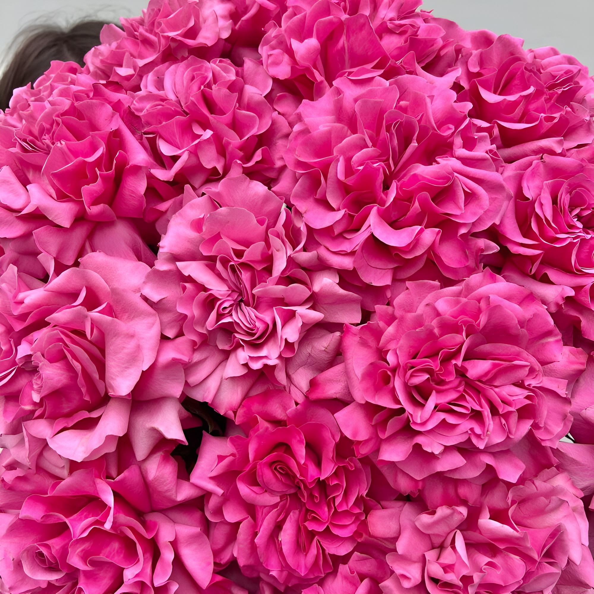 Роскошный букет из пионовидных роз – королевский подарок Тихвин Ленинградская область