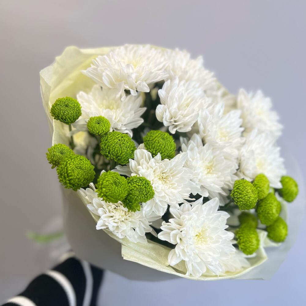 Эксклюзивный букет «Филин Грин» – сочетание белых и зеленых хризантем Тихвин Ленинградская область