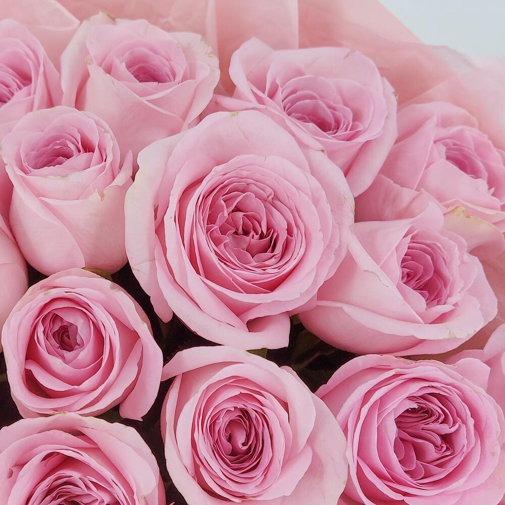 Букет из нежно-розовых роз – элегантность в каждом лепестке Тихвин Ленинградская область