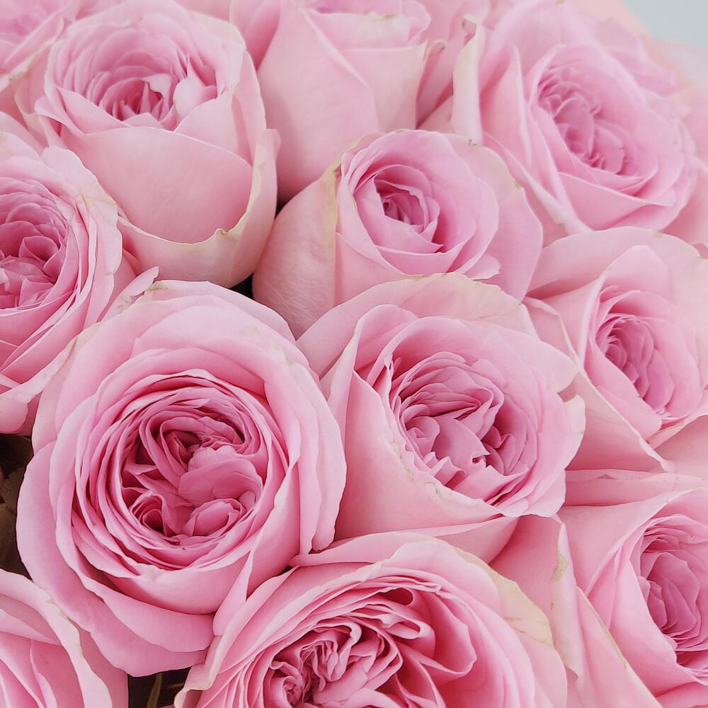 Букет из нежно-розовых роз – элегантность в каждом лепестке Тихвин Ленинградская область