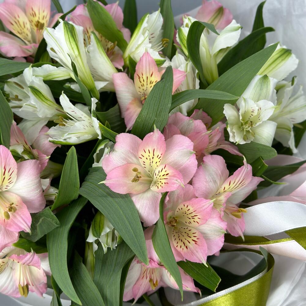 Букет «Нежность» – трогательное сочетание белых и розовых альстромерий Тихвин Ленинградская область