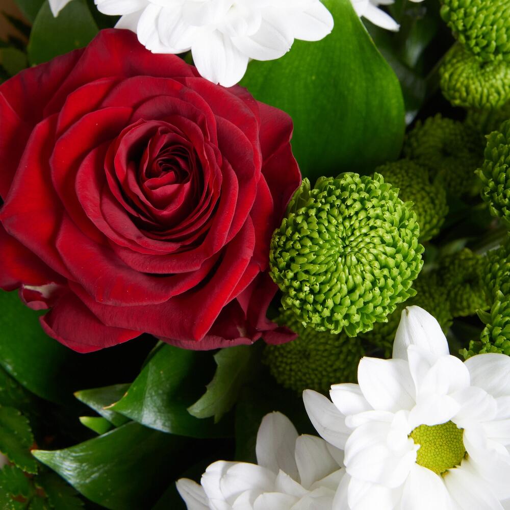 Букет «Настроение» – гармония красных эквадорских роз и нежных хризантем Тихвин Ленинградская область