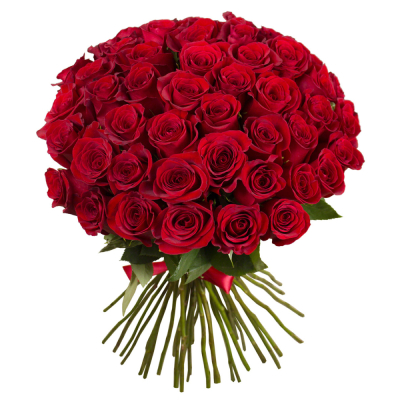 Букет «О, Шарман!» – 51 роскошная эквадорская роза Тихвин Ленинградская область
