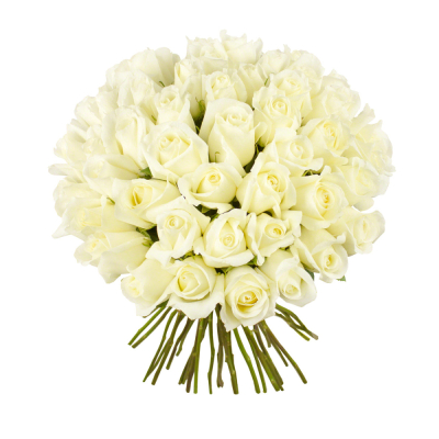 Роскошный букет из 51 белой розы – символ безграничной преданности Тихвин Ленинградская область