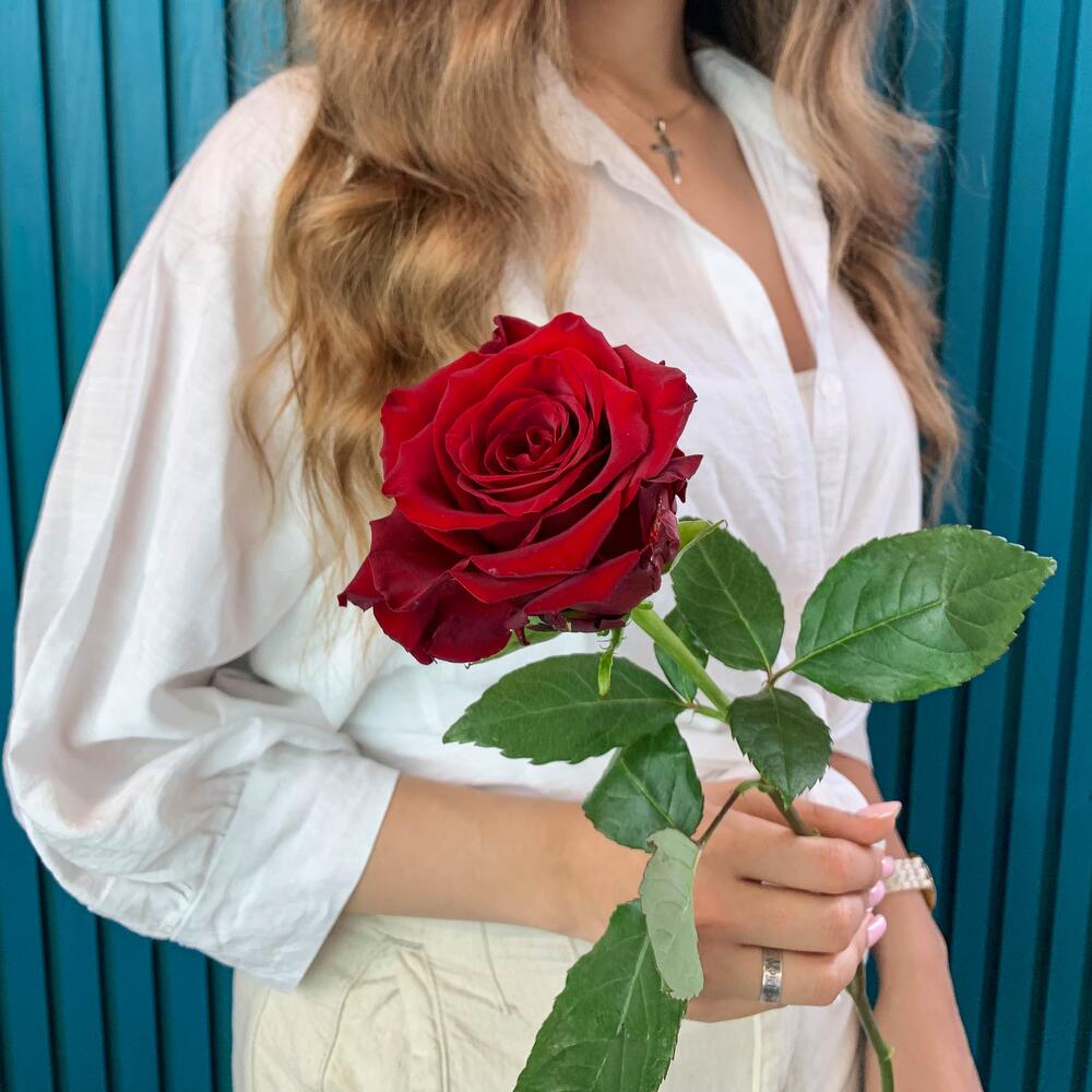 Комплимент из красной эквадорской розы – минимализм роскоши Тихвин Ленинградская область