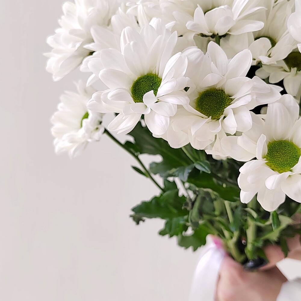 Букет «Ромашка» – 9 белоснежных хризантем в деревенском стиле Тихвин Ленинградская область