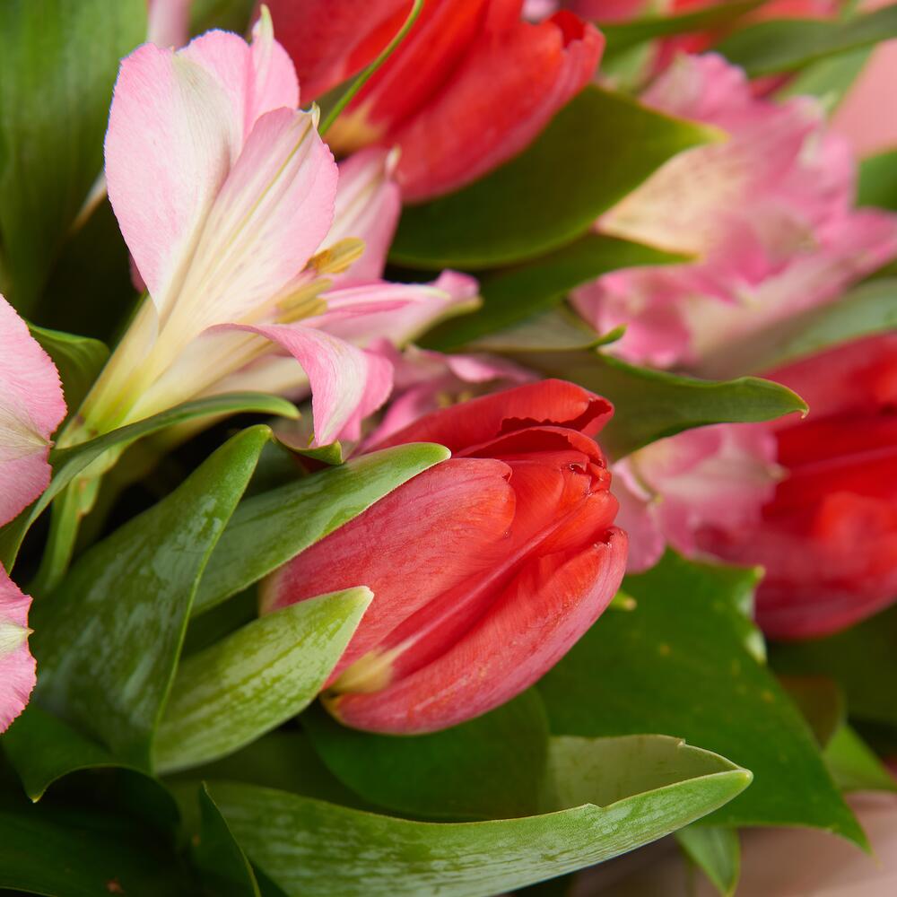 Букет «Первый поцелуй» красных тюльпанов и розовых альстромерий Тихвин Ленинградская область