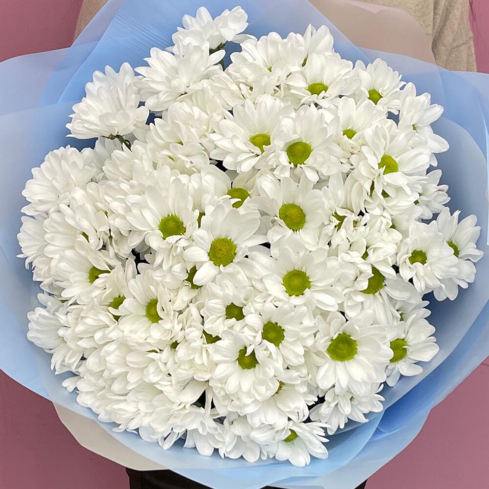 Букет «Ромашковое поле» – свежесть белых хризантем Тихвин Ленинградская область