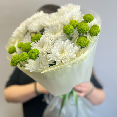 Эксклюзивный букет «Филин Грин» – сочетание белых и зеленых хризантем Тихвин Ленинградская область