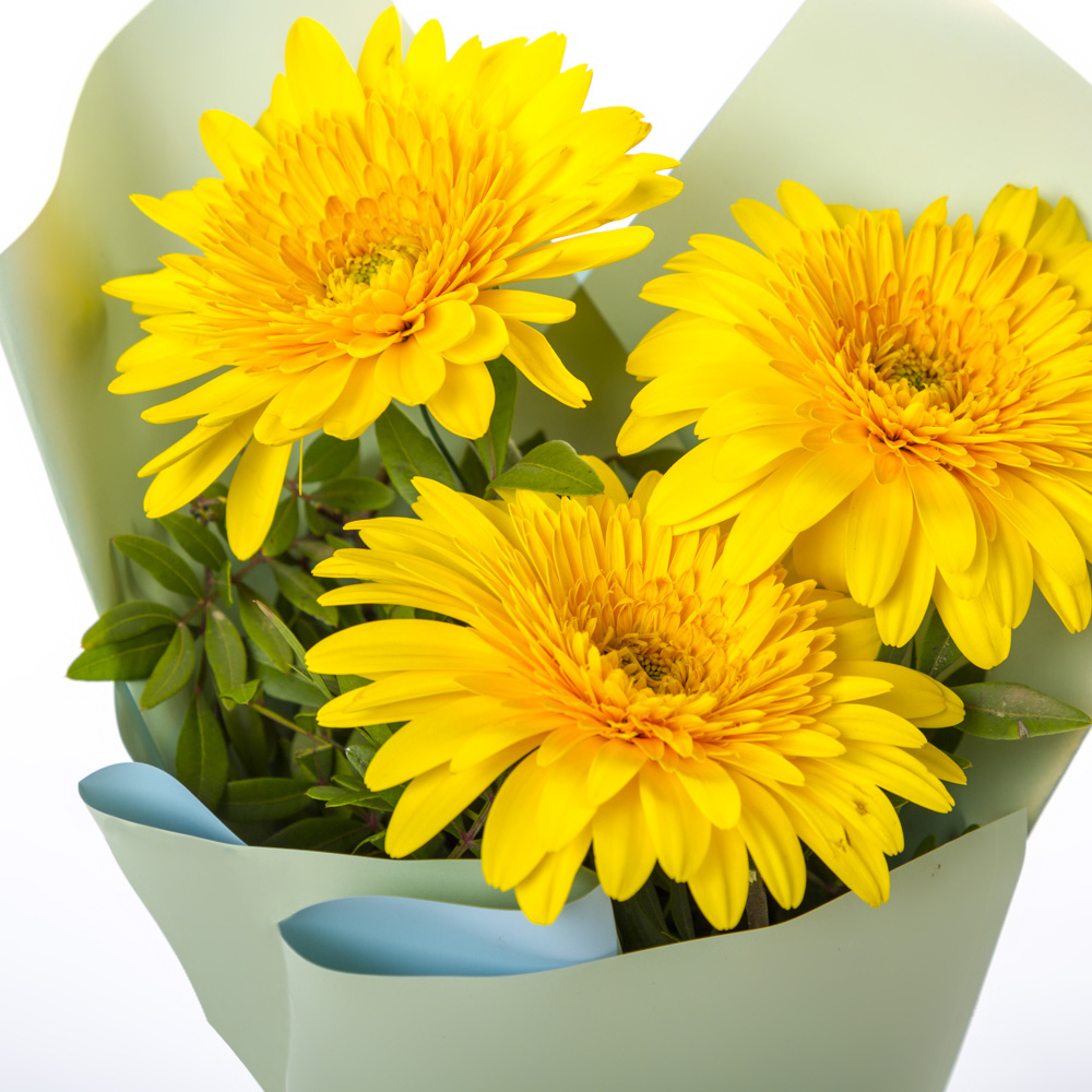 Яркий букет из 3 жёлтых гербер – частичка солнечного света Тихвин Ленинградская область