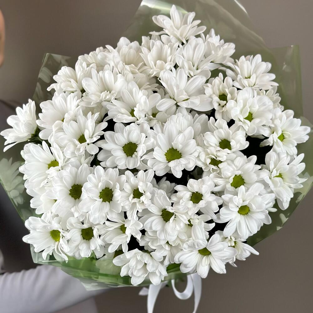 Букет «Мечты о лете» – свежесть белых хризантем Тихвин Ленинградская область