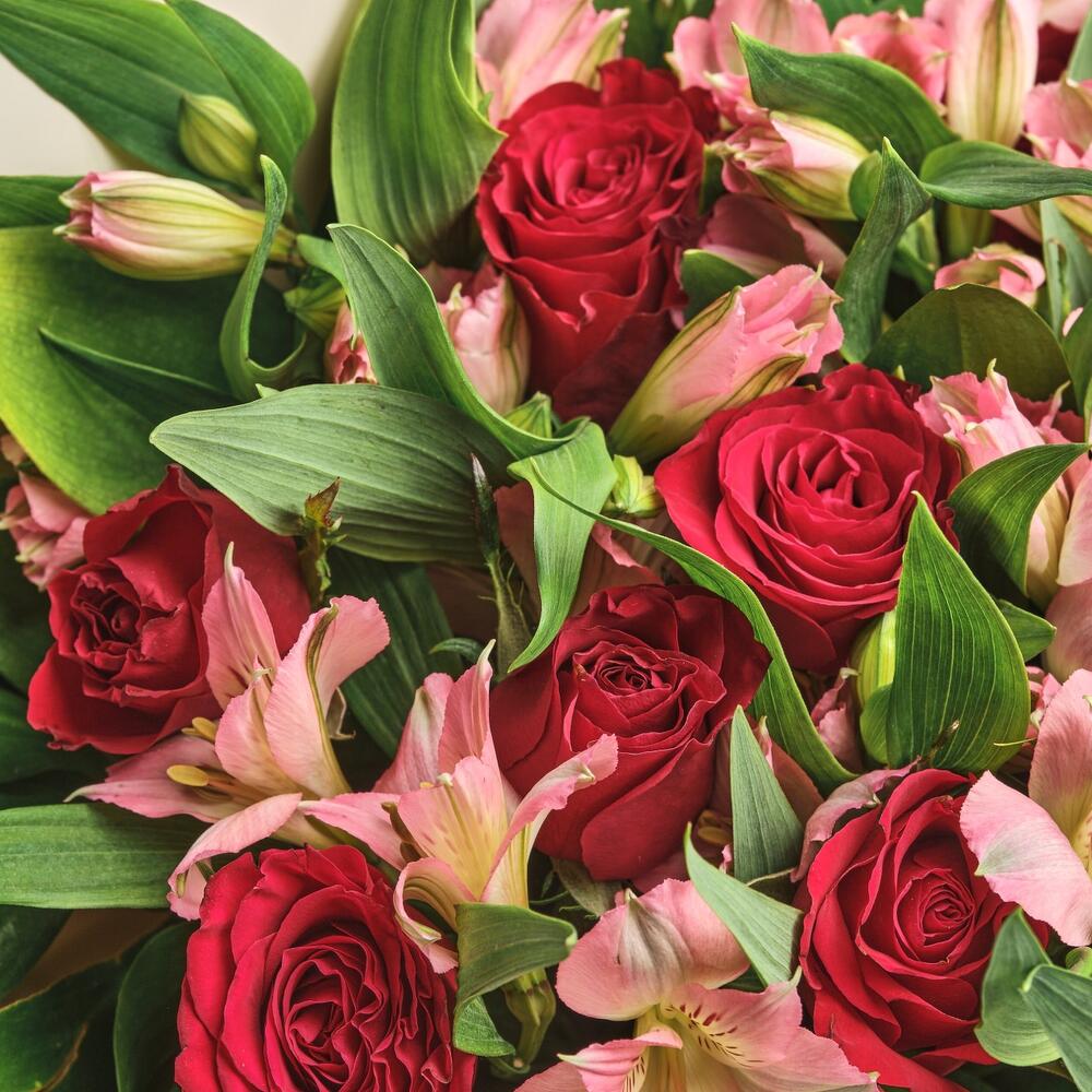 Букет «Нежность слов» — гармония красных роз и нежных альстромерий Тихвин Ленинградская область