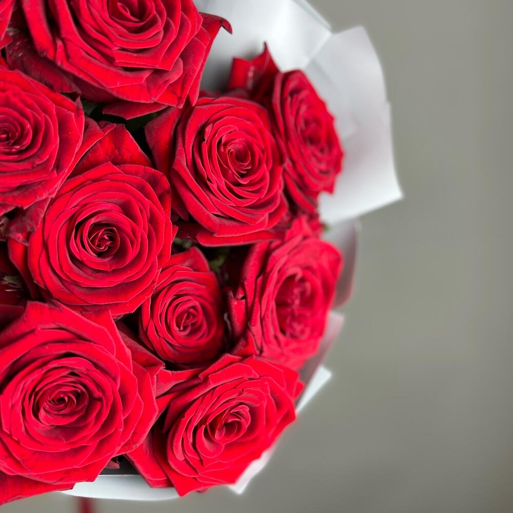 Букет «Красный бархат» – роскошь эквадорских роз Тихвин Ленинградская область