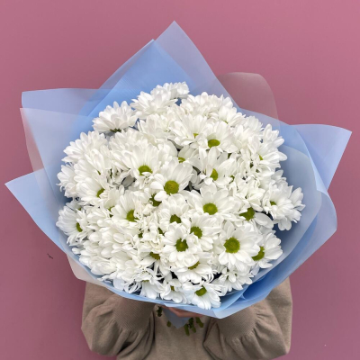 Букет «Ромашковое поле» – свежесть белых хризантем Тихвин Ленинградская область
