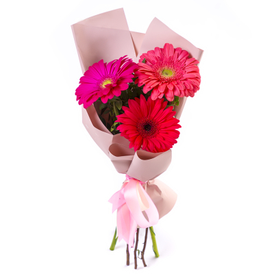 Яркий букет из 3 разноцветных гербер – маленькое чудо в ваших руках Тихвин Ленинградская область