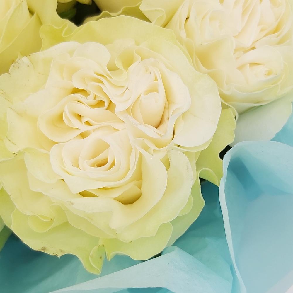 Букет «Кружевное облачко» – 11 белоснежных роз в нежной упаковке Тихвин Ленинградская область