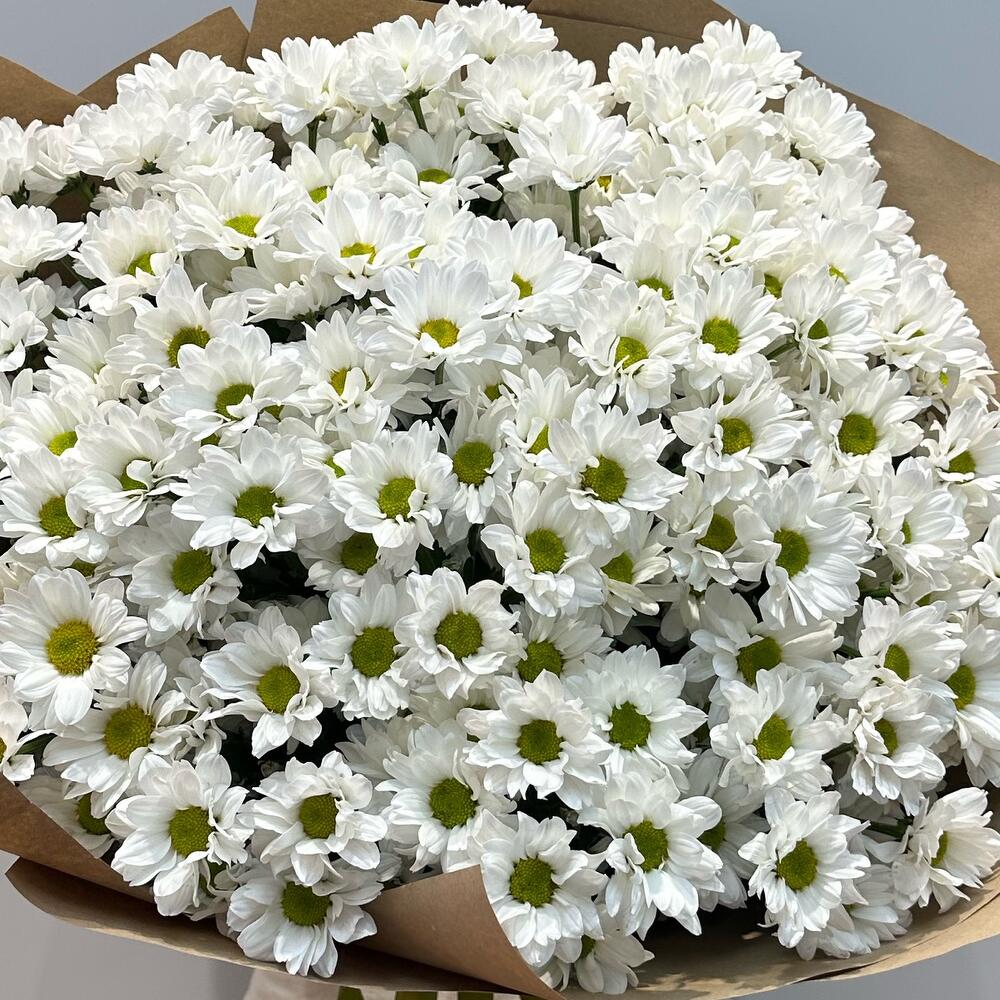 Букет «21 ромашка» – нежные белые кустовые хризантемы в натуральном стиле Тихвин Ленинградская область