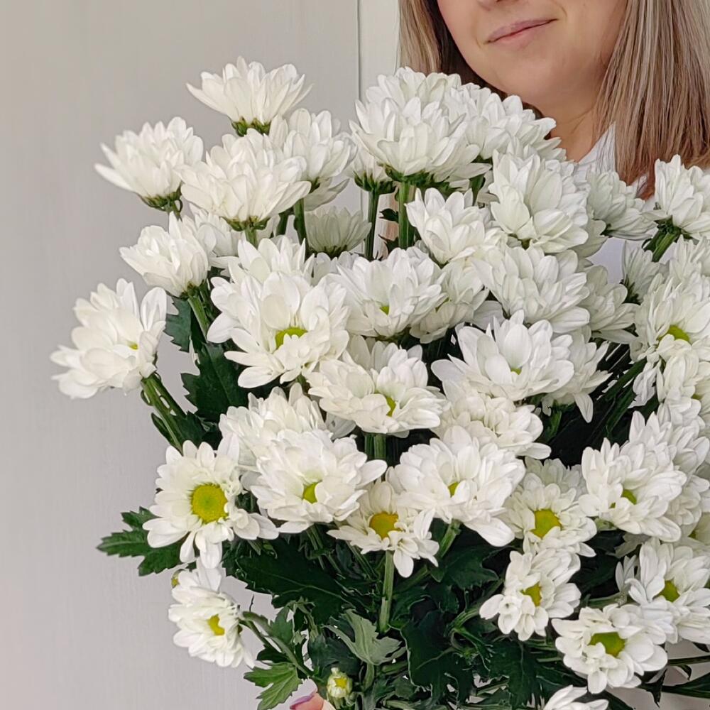 Букет «Ромашка» — свежесть белых хризантем в деревенском стиле Тихвин Ленинградская область