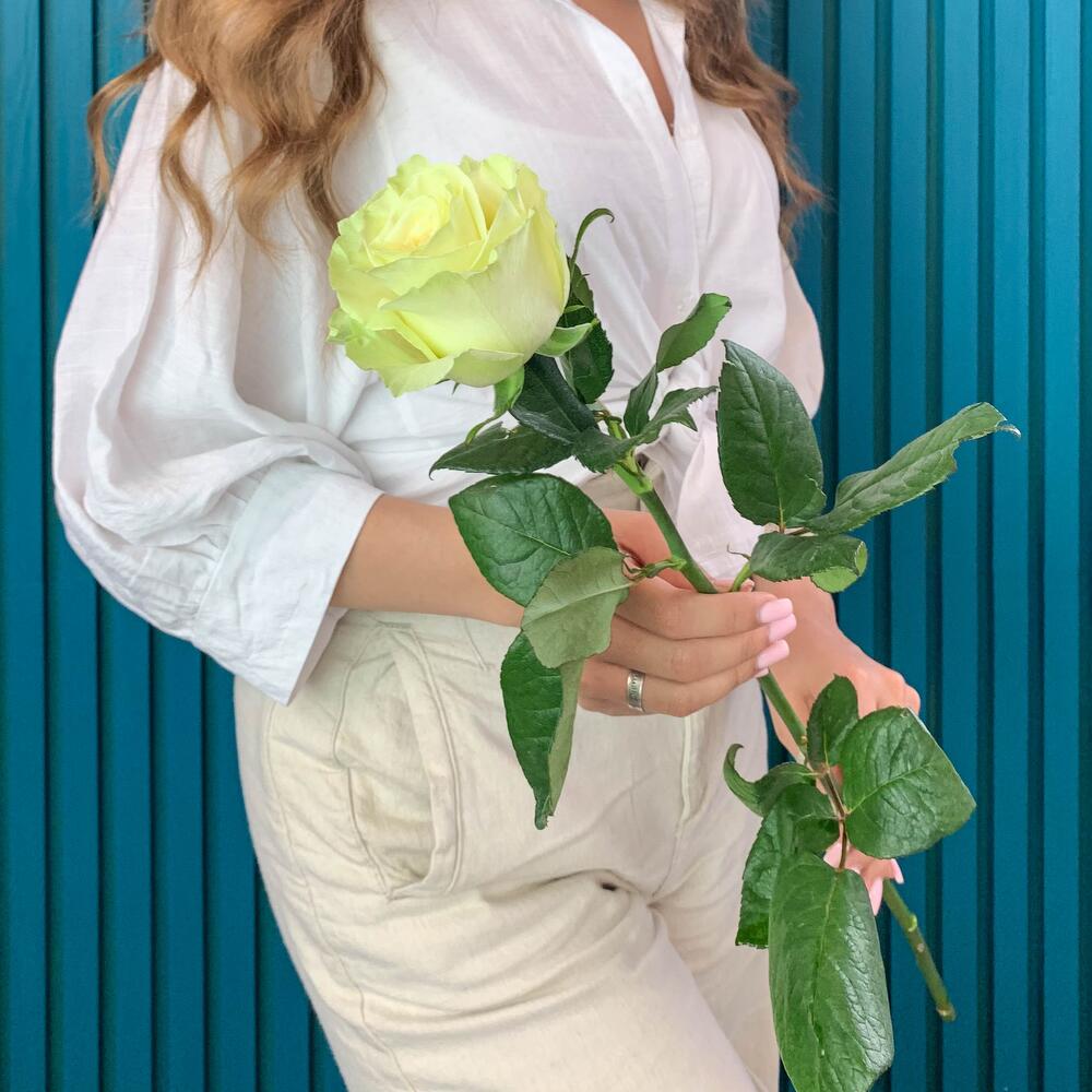 Комплимент из белой эквадорской розы – элегантность в каждом лепестке Тихвин Ленинградская область