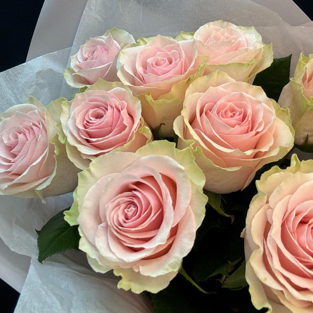 Букет из 9 розовых роз – нежность в каждом лепестке Тихвин Ленинградская область