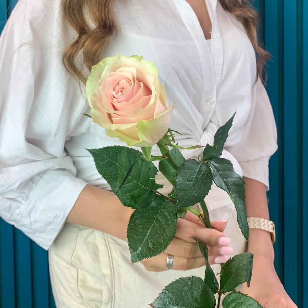 Комплимент из розовой эквадорской розы – минимализм роскоши Тихвин Ленинградская область