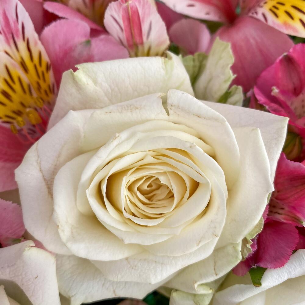 Букет «Николь» – изысканное сочетание роз, кустовых роз и альстромерий Тихвин Ленинградская область