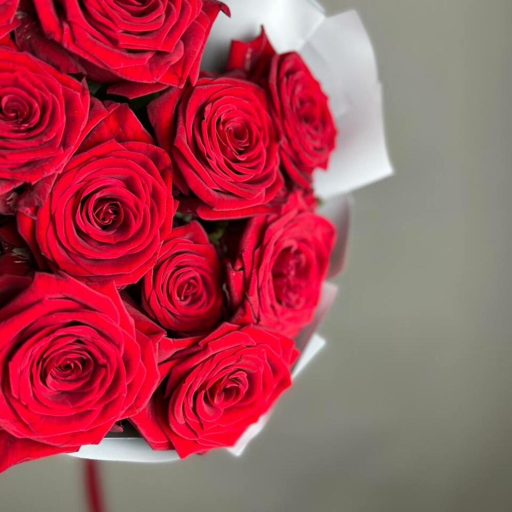 «Королевский бархат» – 25 роскошных красных роз из Эквадора  Тихвин Ленинградская область