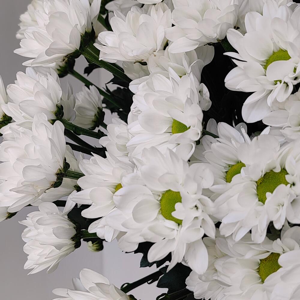 Букет «Ромашка» — свежесть белых хризантем в деревенском стиле Тихвин Ленинградская область