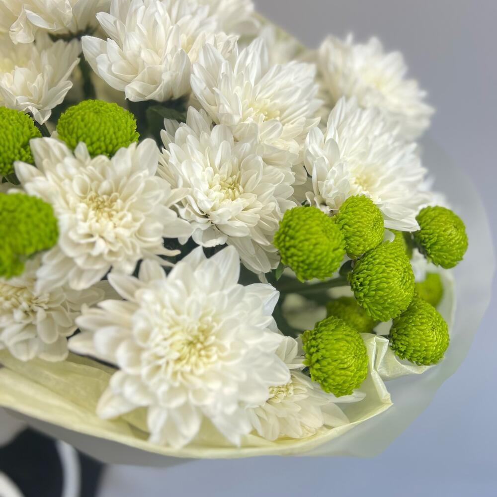 Эксклюзивный букет «Филин Грин» – сочетание белых и зеленых хризантем Тихвин Ленинградская область