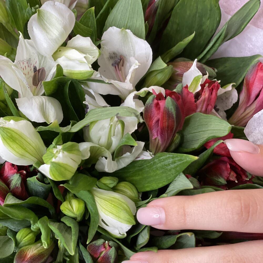 Букет «Люблю»– страсть и чистота в красно-белых альстромериях Тихвин Ленинградская область