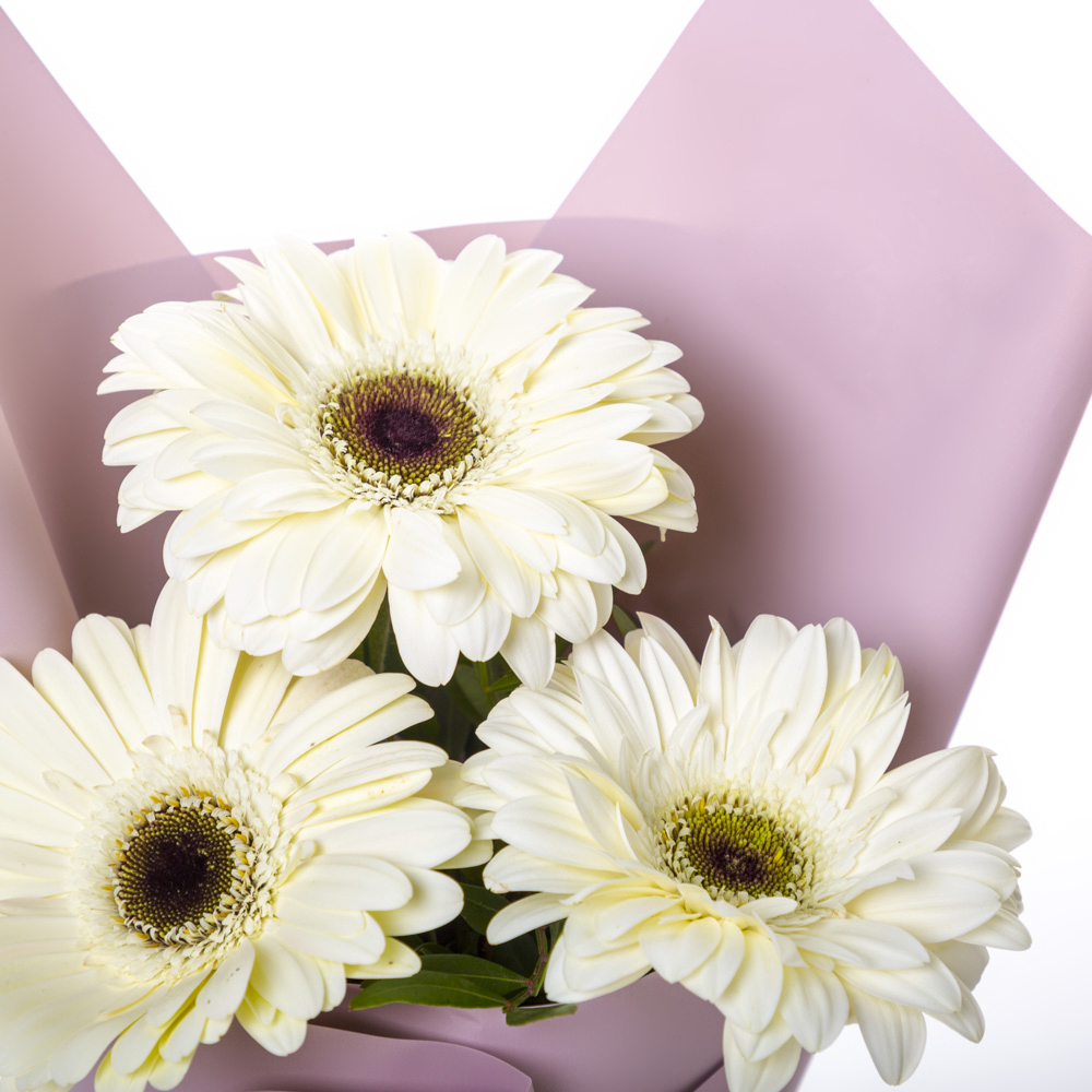 Нежный букет из 3 белых гербер – символ искренности и света Тихвин Ленинградская область