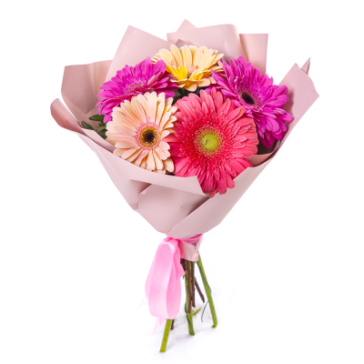 Яркий букет из 5 разноцветных гербер – солнечное настроение в подарок Тихвин Ленинградская область