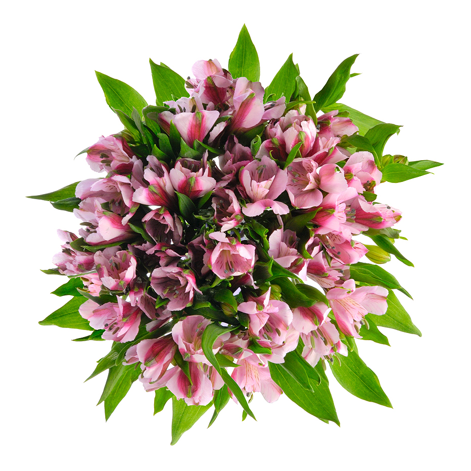 Букет «Хорошее настроение» из розовых альстромерий – солнечный подарок Тихвин Ленинградская область