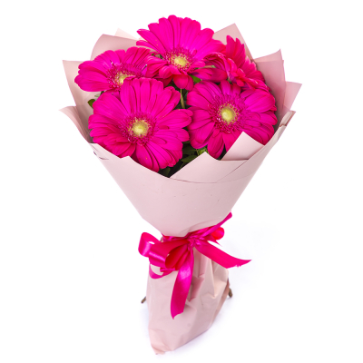 Букет из 5 малиновых гербер – сочный акцент вашего подарка Тихвин Ленинградская область