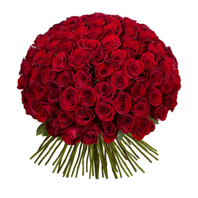 Букет из 101 красной розы – символ бесконечной страсти Тихвин Ленинградская область
