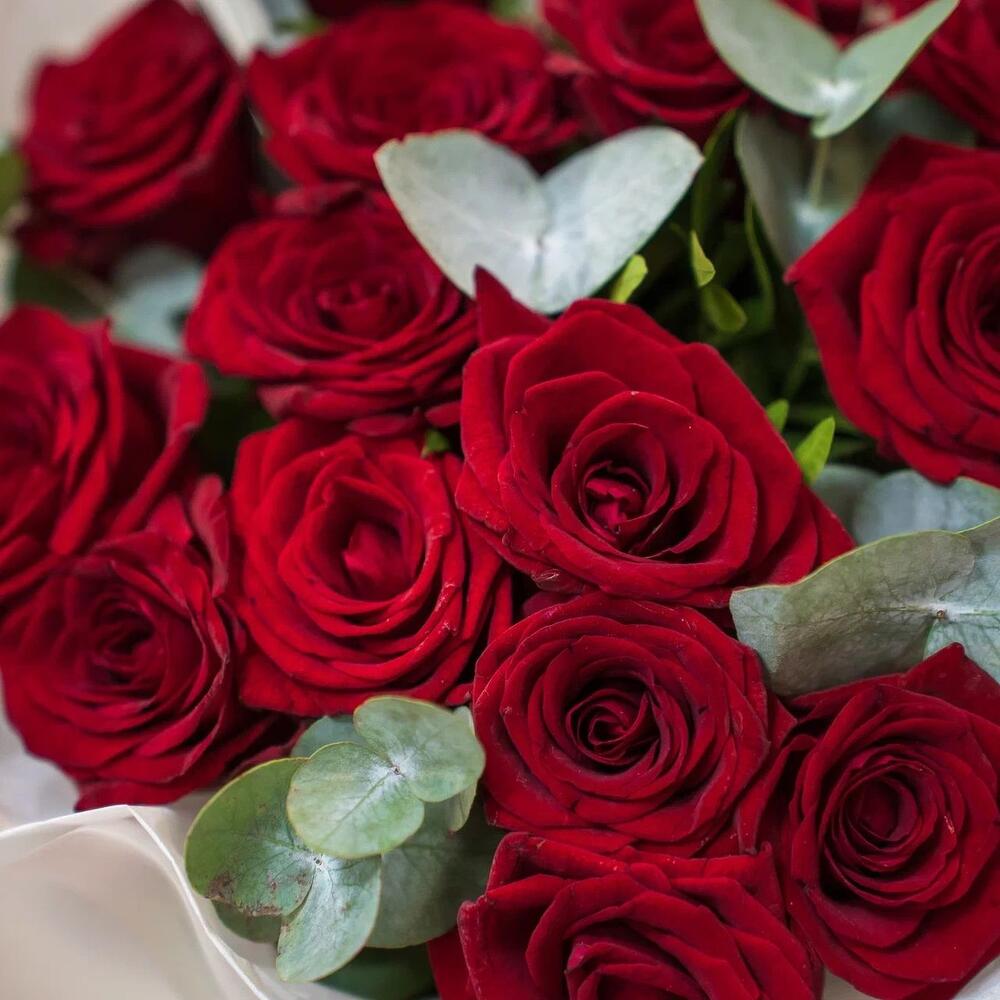 Элегантный букет из 15 красных роз с эвкалиптом – символ страсти и нежности Тихвин Ленинградская область