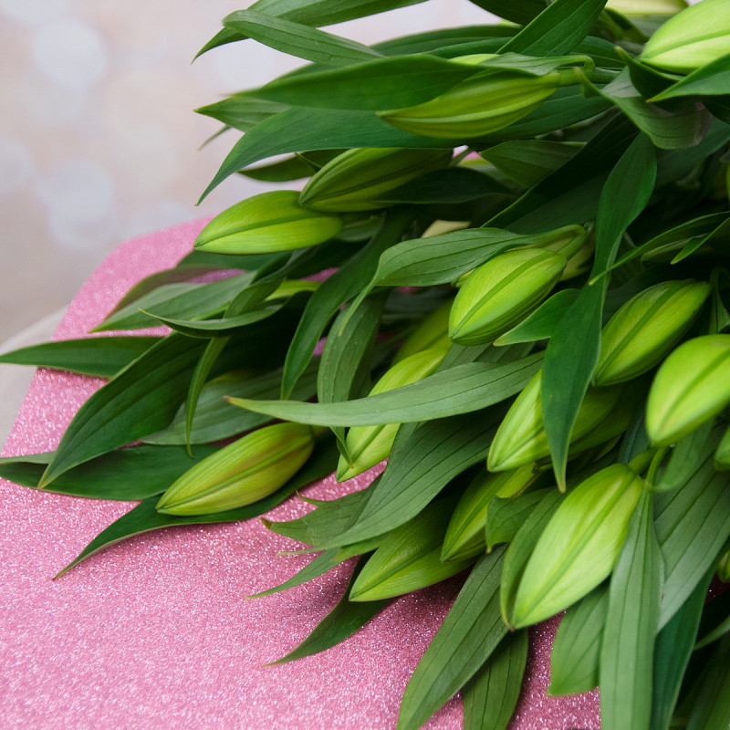 Изысканный букет из 15 свежих лилий – королевский подарок Тихвин Ленинградская область