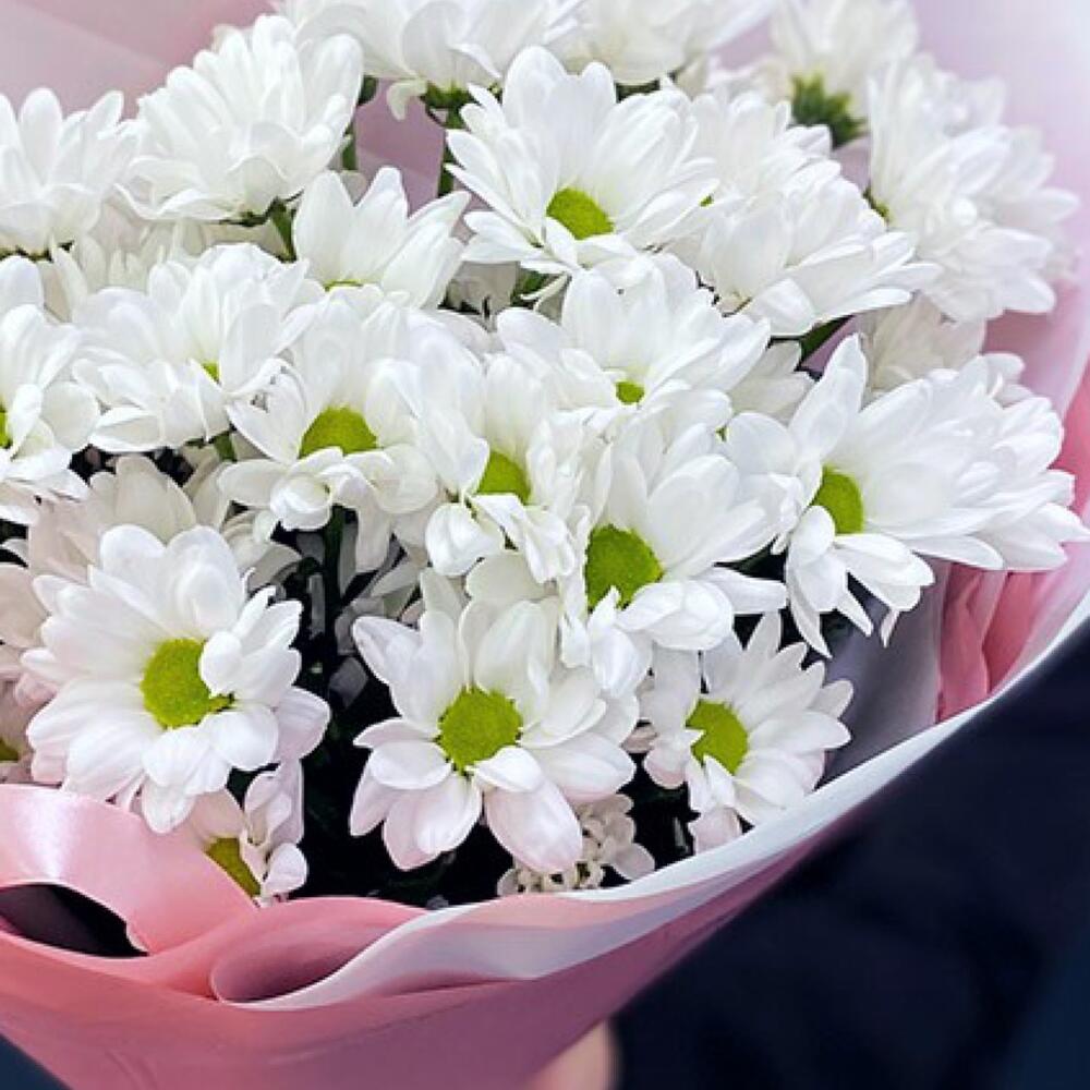 Букет «Розовое счастье» – нежность белых хризантем Тихвин Ленинградская область