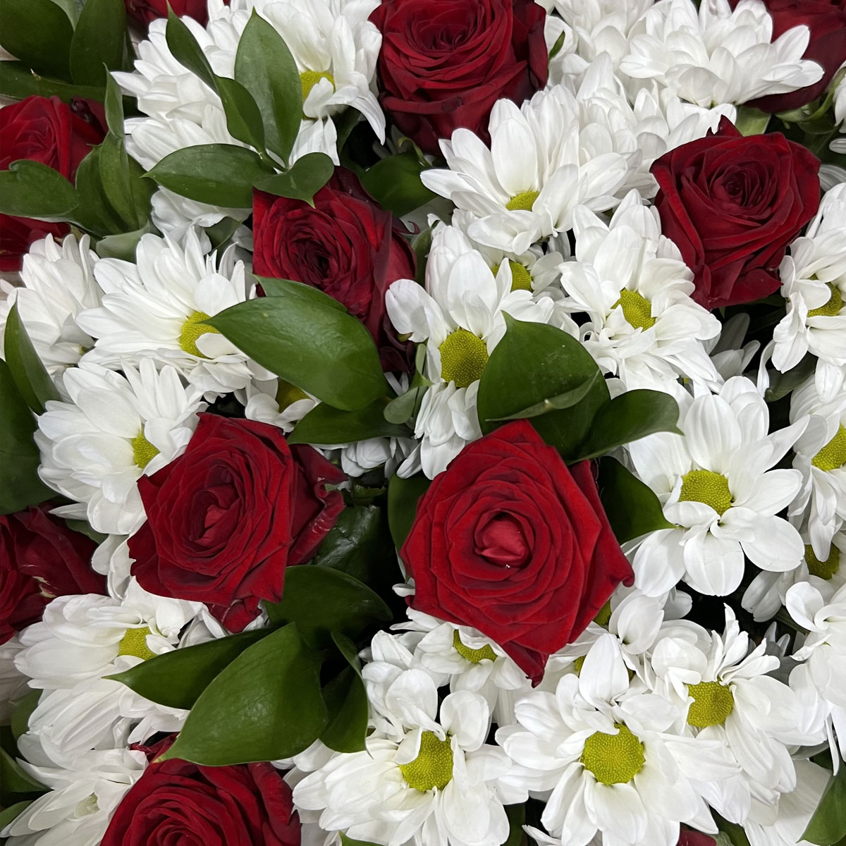 Букет «Романтика» — гармония красных роз и белоснежных хризантем Тихвин Ленинградская область