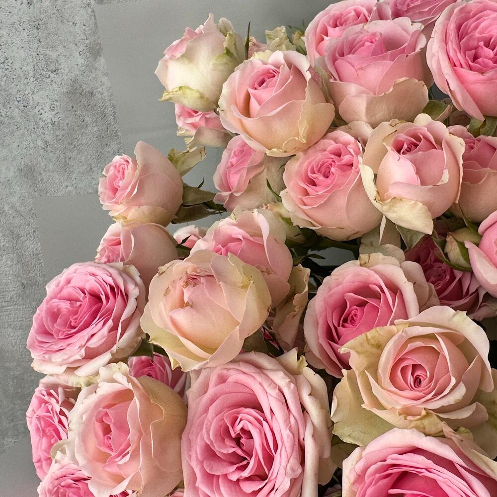 Букет «Нежный аромат» – пышные розовые кустовые розы в элегантной упаковке Тихвин Ленинградская область